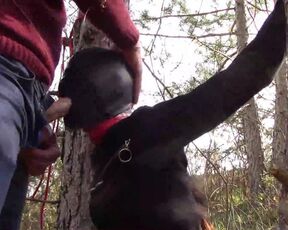 Tied to a tree, masked and outdoor deepthroat with no mercy